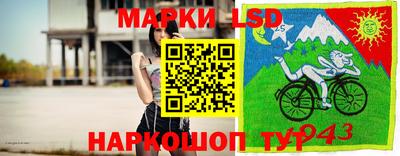 a pvp Донской