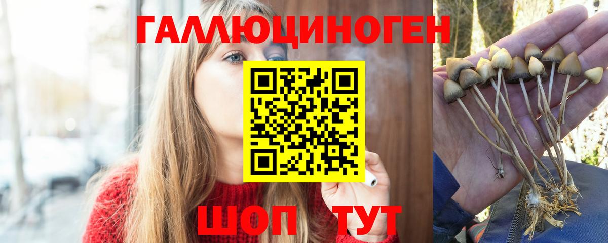 Кыштым  Галлюциногенные грибы Cubensis  Вход с VPN 